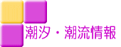潮汐・潮流情報
