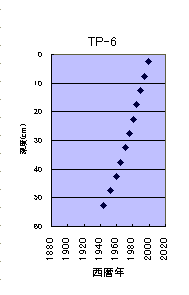 TP-6の堆積年代図