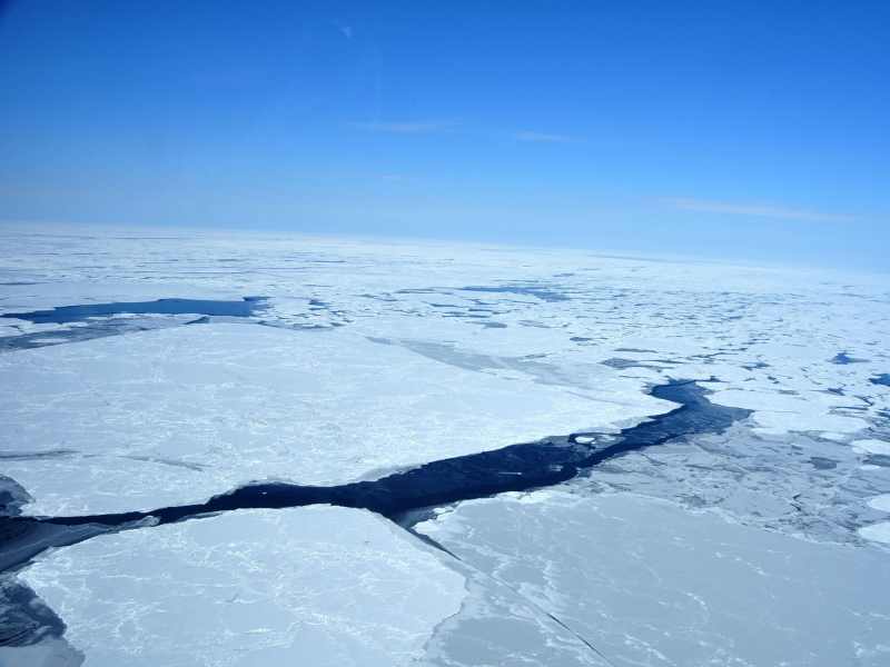 海氷情報センター 海氷 流氷の情報