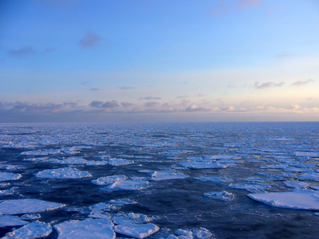 海氷情報センター 海氷 流氷の情報