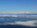 知床に臨む海氷