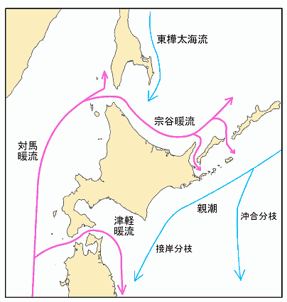 北海道周辺の海流の大勢図