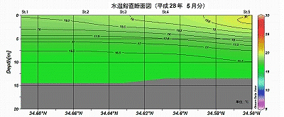 �����Q�W�N�T���̐��������f�ʐ}�iSt.1�`St.5�j