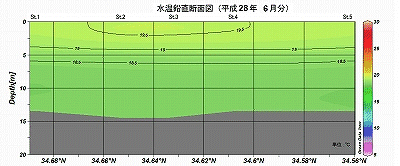 �����Q�W�N�U���̐��������f�ʐ}�iSt.1�`St.5�j