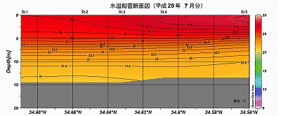 �����Q�W�N�V���̐��������f�ʐ}�iSt.1�`St.5�j