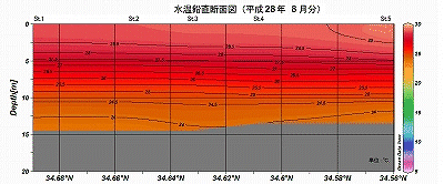 �����Q�W�N�W���̐��������f�ʐ}�iSt.1�`St.5�j