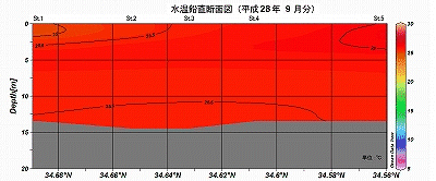 �����Q�W�N�X���̐��������f�ʐ}�iSt.1�`St.5�j