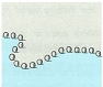 海図図式　マングローブが植生した海岸線