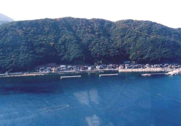 立石漁港の写真1997