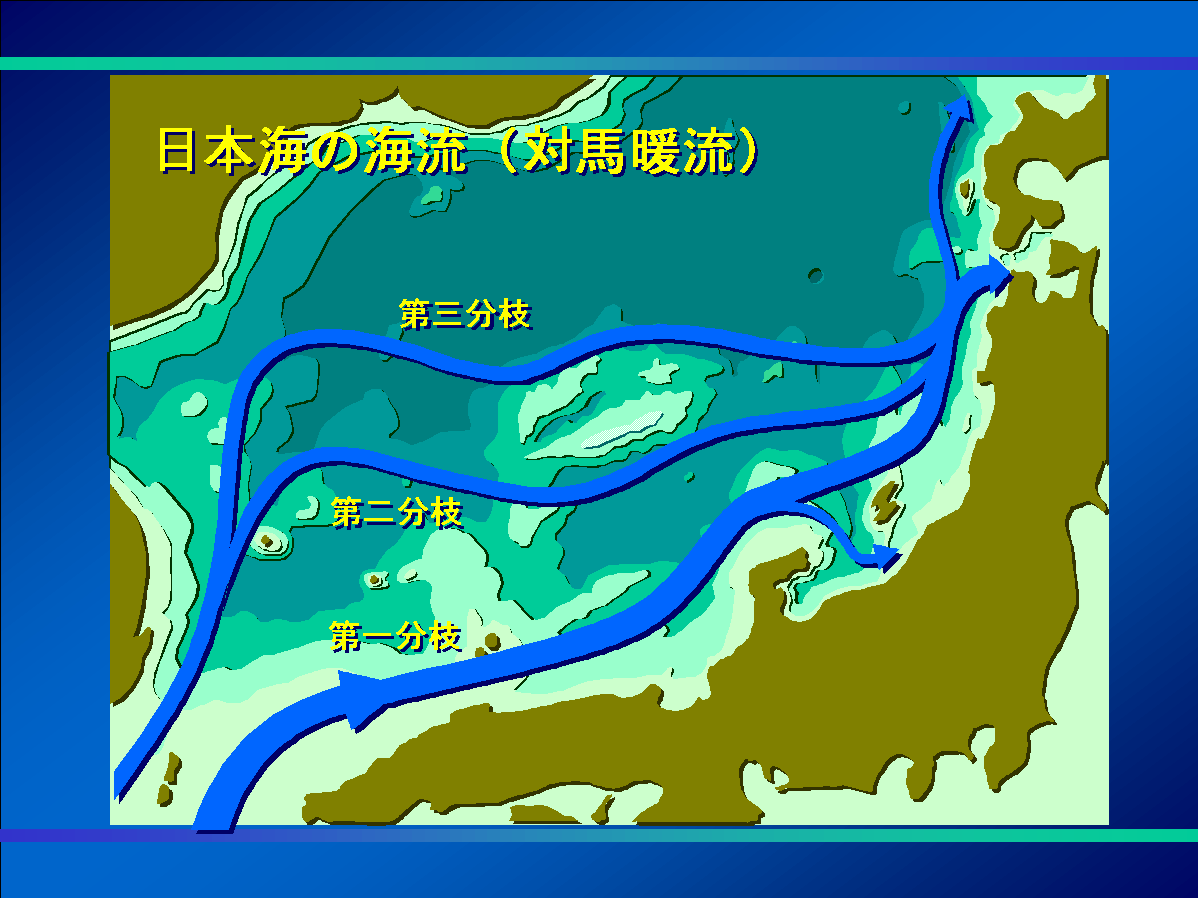 日本海の対馬暖流の図