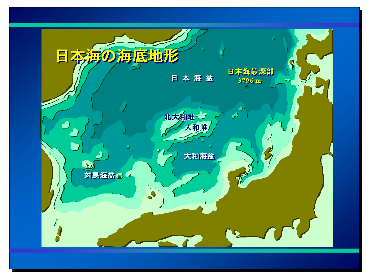 日本海の海底地形図