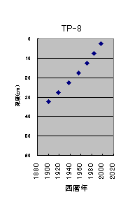 TP-8の堆積年代図