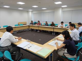 Mid-term evaluation meeting