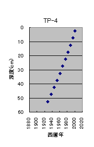 TP-4の堆積年代図