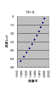 TP-5の堆積年代図