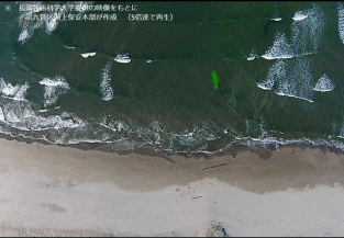 離岸流の動画