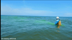 離岸流の動画