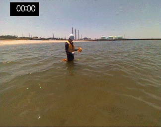 離岸流の動画
