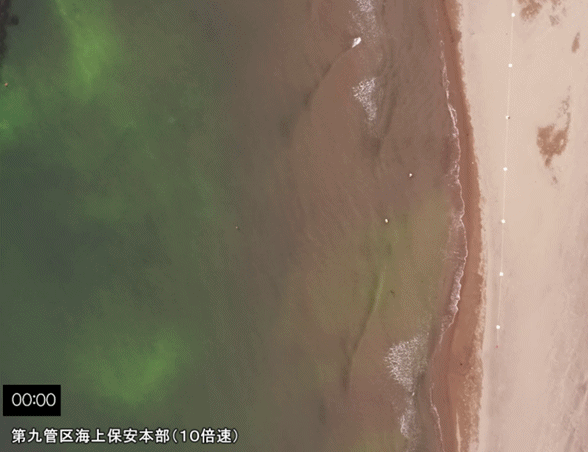 離岸流の動画